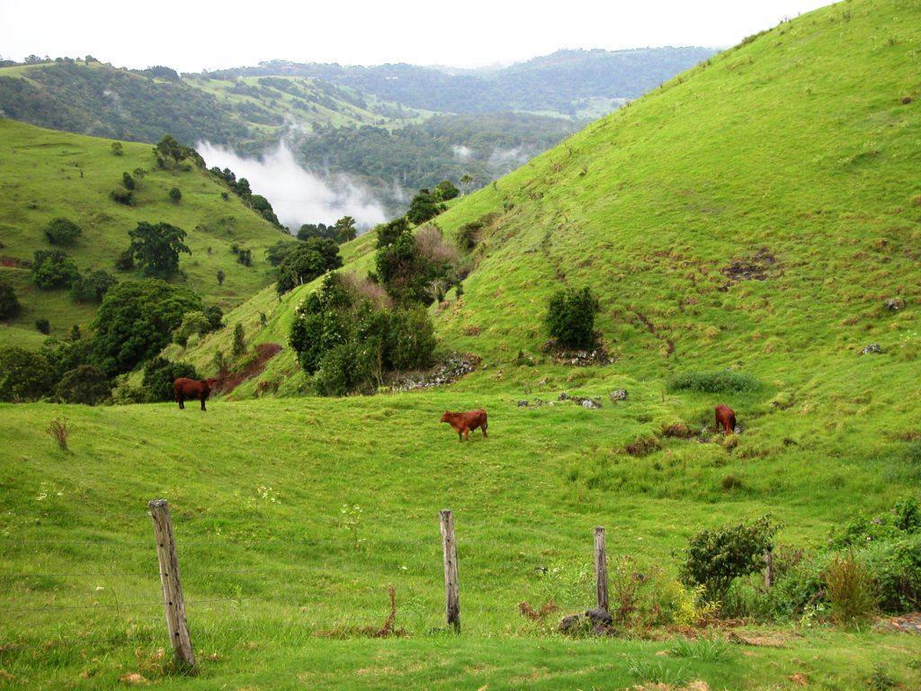 Top Of The Hill Maleny Exterior photo