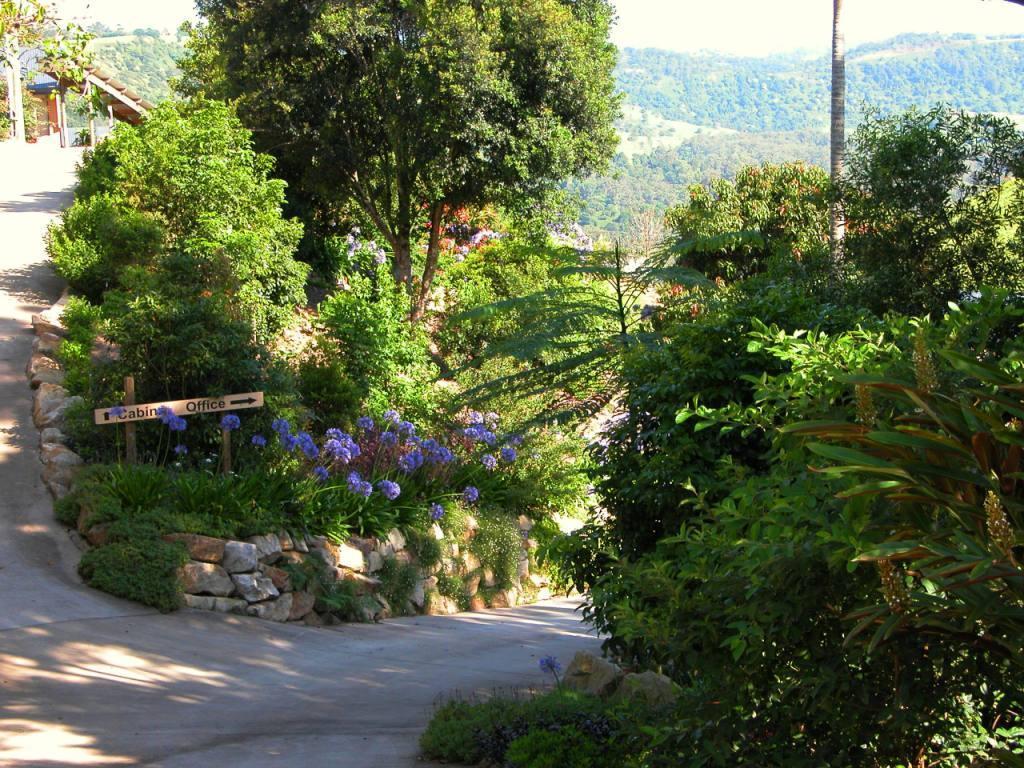 Top Of The Hill Maleny Exterior photo